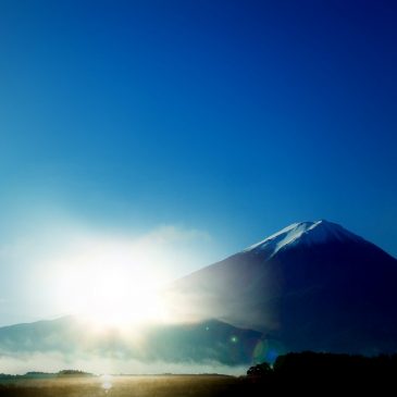 2019年あけましておめでとうございます。